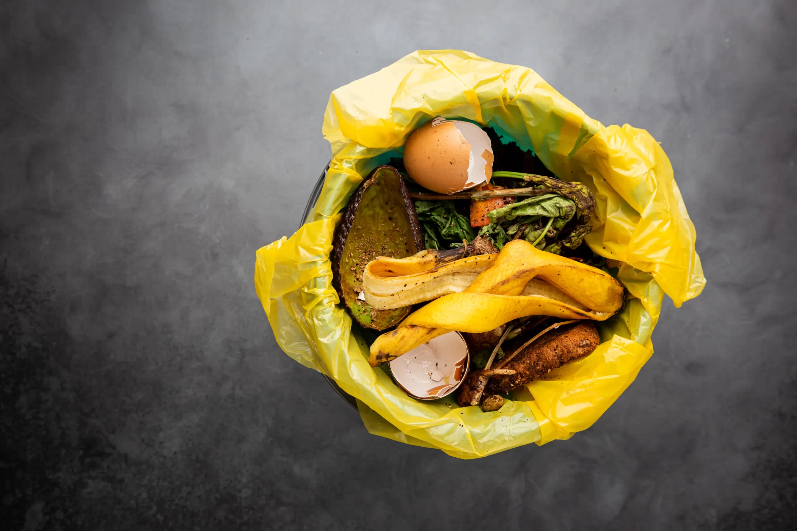 can-you-put-food-waste-in-a-skip-bin-junkyard-skips